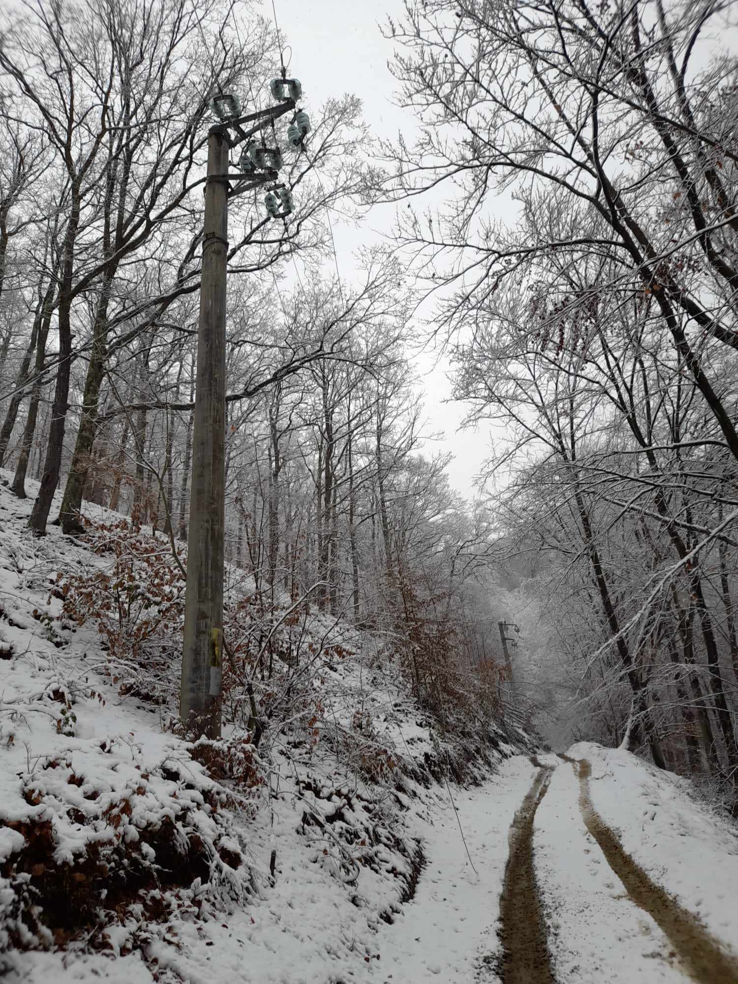 Situația în Alba, după al doilea val de viscol: Peste 800 locuitori din județ, fără curent electric. Nu sunt drumuri sau sectoare de drum blocate sau închise