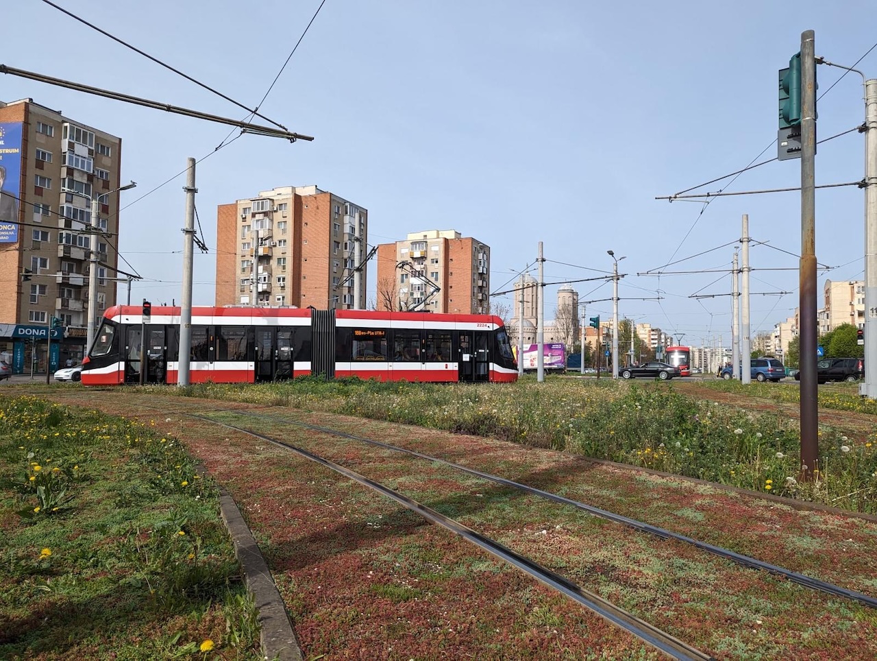 În municipiul Arad au fost amenajate primele „pajiști urbane”